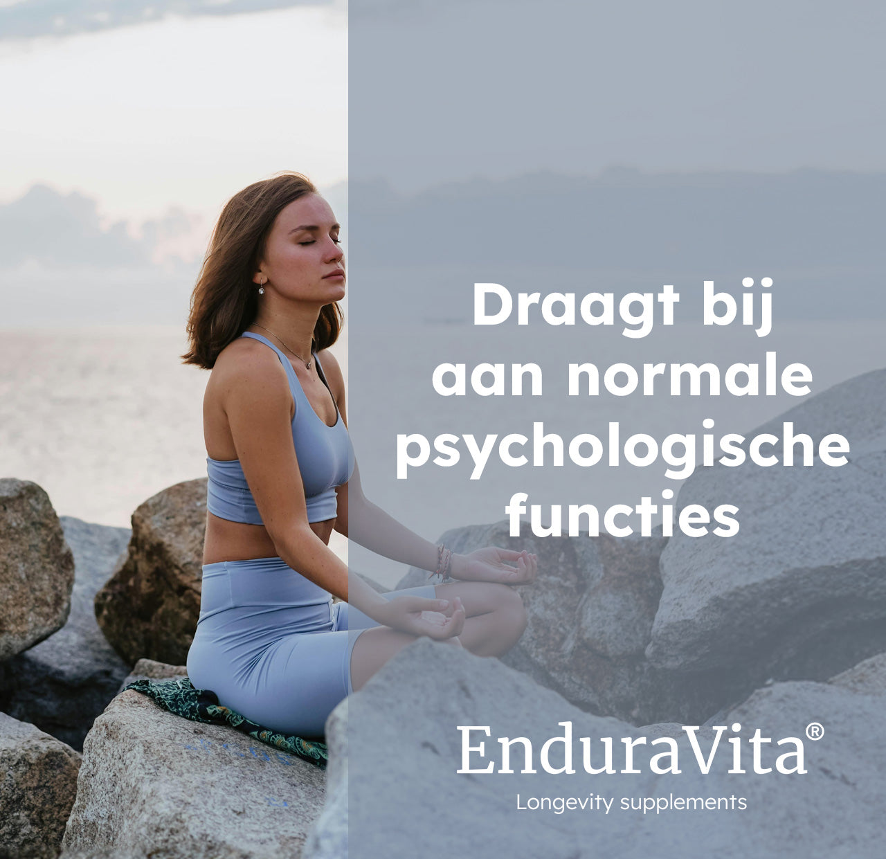 draagt bij aan normale psychologische functies